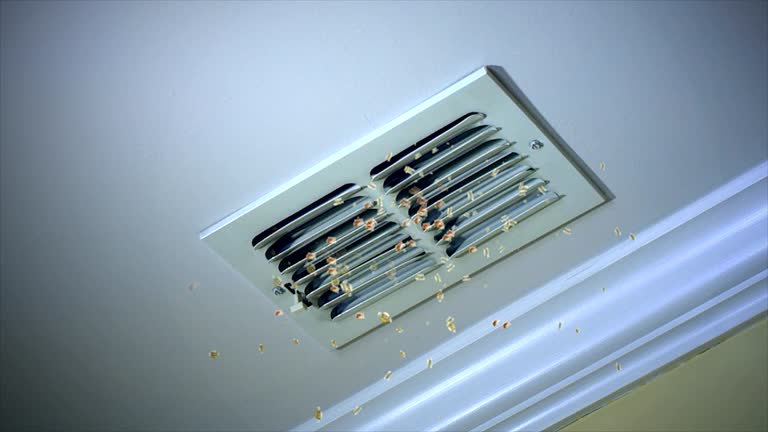 Best Commercial Air Duct Cleaning  in Louisburg, NC