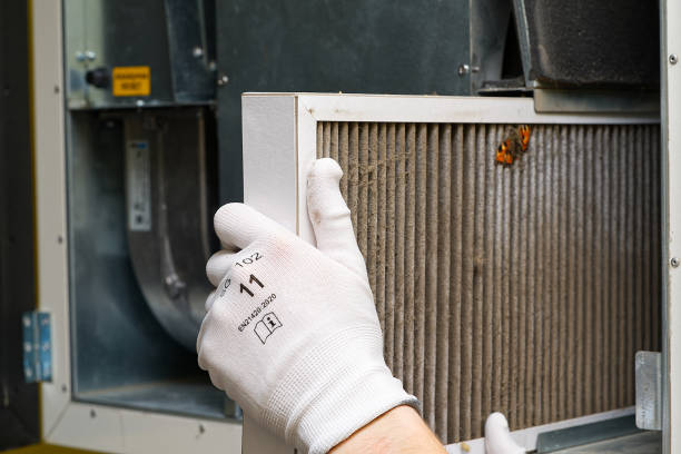 Best Affordable Duct Cleaning Services  in Louisburg, NC