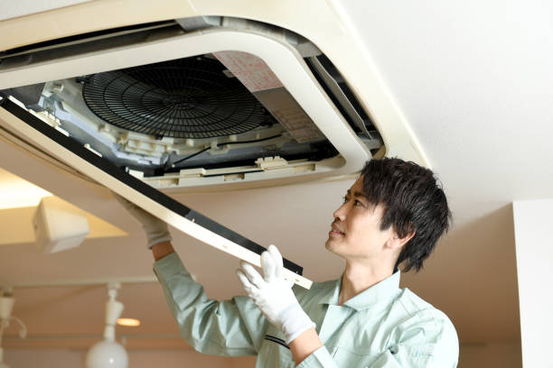 Best Ductwork Cleaning Services  in Louisburg, NC
