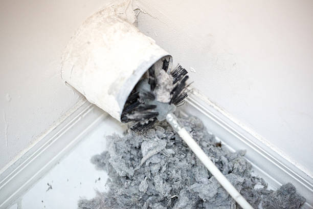 Best Air Duct Sanitizing Services  in Louisburg, NC